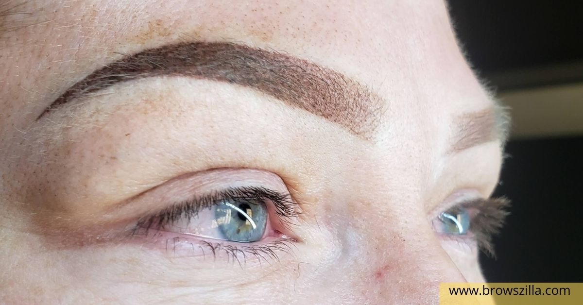 Ombre Powder Brows Before and After Photos  Orange County CA